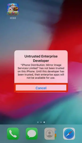 Untrusted Enterprise Developer warning naming Mirror Image Services Limited, with the XE88 icon top left