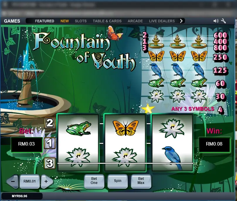 Fountain of Youth on LPE88 with a star by the paytable and a win on line 3 showing RM0.08